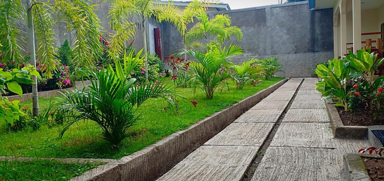 Green Rinjani Guest Houst Hotel Senaru Zewnętrze zdjęcie